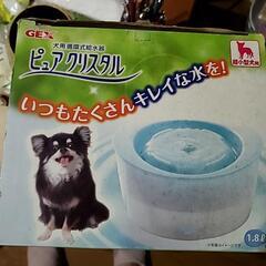 犬用水飲み