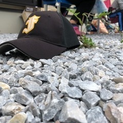 野球しようよ！