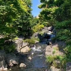 神社.仏閣.石庭.巡り✨ - 友達