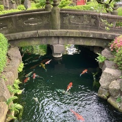 神社.仏閣.石庭.巡り✨ − 京都府