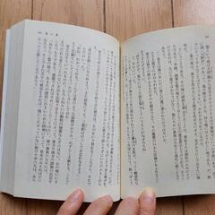 本《王家の風日》の画像