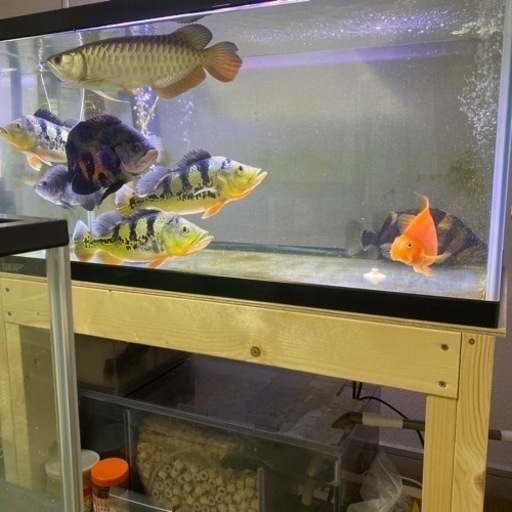 90センチガラス水槽、木製水槽台