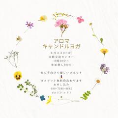優しいヨガレッスン