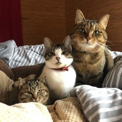 山口で韓国語レッスンをしようと思いますの画像