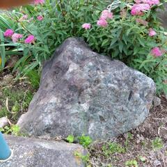 庭石差し上げます。の画像