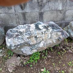 庭石差し上げます。の画像