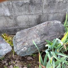 庭石差し上げます。の画像