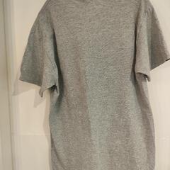 FRUIT OF THE ROOM フルーツオブザルーム Tシャツ Mサイズの画像