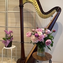 ハープの音色で音楽をご一緒に楽しみませんかー