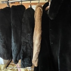 毛皮①の画像