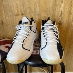 NIKE ナイキ　TEAMジョーダン　バスケの画像