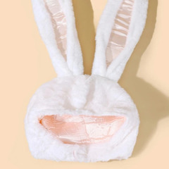 うさぎ　かぶりものの画像