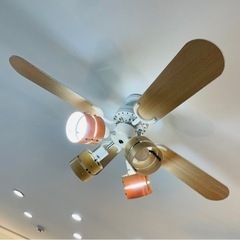 シーリングファンの画像