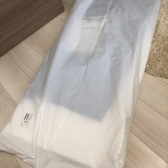 トゥルースリーパー★ミニトゥルースリーパー★ごろ寝マット★新品未使用の画像