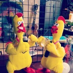 歌は心🌈🗣🎶表現力で歌いたい人の教室！(❁ᴗ͈ˬᴗ͈)♪🌟💖ウクレレ弾き語り教室も併設★*ﾟ【歌っても聴いても心地よい歌を！】の画像