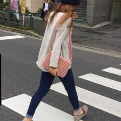 【 値下げ 】ディアベル バッグの画像