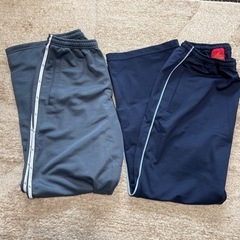 美品　L MIZUNO レディースジャージ