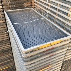 水稲用　苗箱　1枚1円