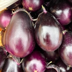 農業ナス🍆スイカ🍉時給900〜