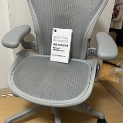 アーロンチェア リマスタード Aサイズ 