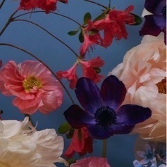 Shopify詳しい方お助けあれ_(  ､´⌓`)ﾉ
