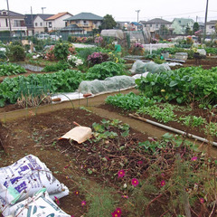 🍅趣味の園芸や機械化のお手伝いします🥬 - 川崎市