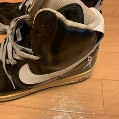 NIKE AF1 エアフォース1 SHEED シードの画像
