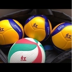 バレーボール　月・金曜日　19:00〜21:00 