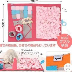 ワンちゃんの脳トレ、お留守番に٩(๑´3｀๑)۶の画像