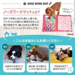 ワンちゃんの脳トレ、お留守番に٩(๑´3｀๑)۶の画像