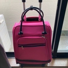 キャリーバック