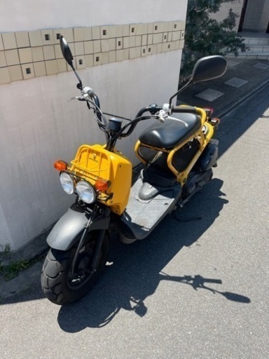 ホンダ　ズーマー　イエロー