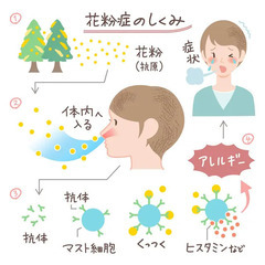アレルギーを卒業するには腸が9割！腸活マスターから学ぶ撃退法(6月14日 08:00開催) - イベント