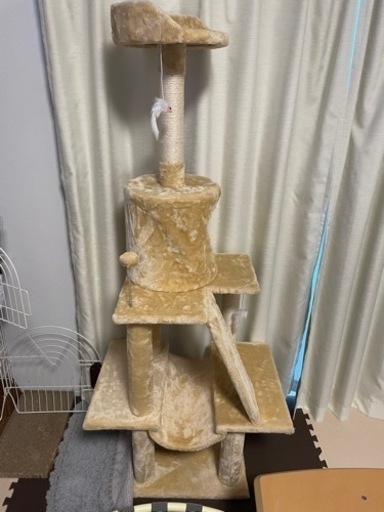 キャットタワー