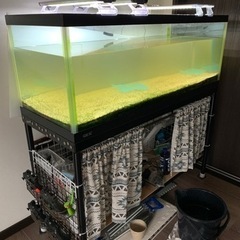 【決まりました】GEX120cm水槽 ＋ 水槽台