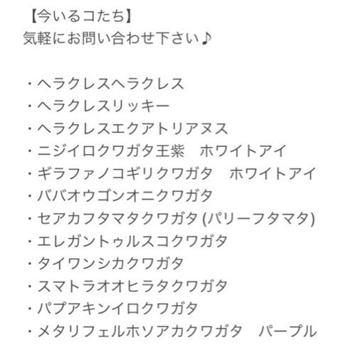 ヘラクレスオオカブト