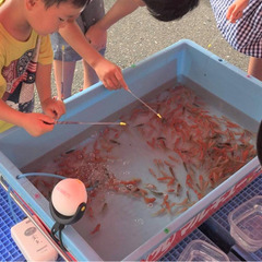【大田区蒲田】親子で縁日気分！金魚釣り体験｜2023年7月17日...