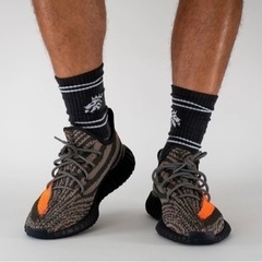 adidas YEEZY Boost 350 V2 