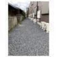 中央区🏠敷金礼金なし🌸１K🐱フリーレント１か月🐱インターネット無料✨ - 不動産