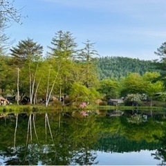キャンプ🏕️ All Campres Japan 2024