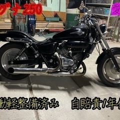 マグナ250 V twin 実働軽整備済　自賠責1年