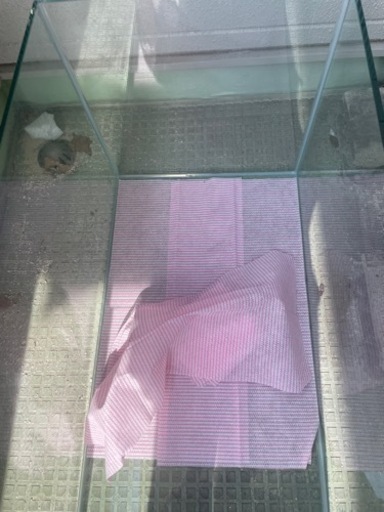 (金額相談)オーバーフロー水槽セット　90×45×45
