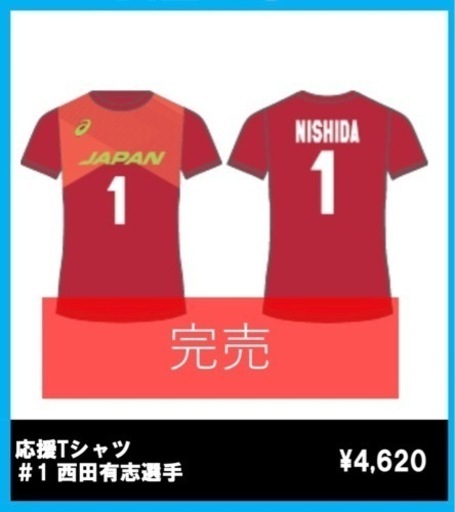 ネーションズリーグ バレーボール 西田