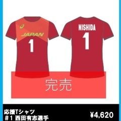 ネーションズリーグ バレーボール 西田