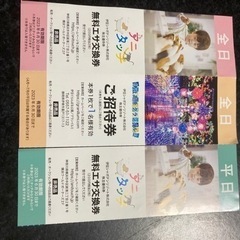 グランイルミ　入場無料券　おまけ付