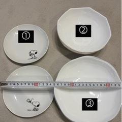 お皿さしあげます。