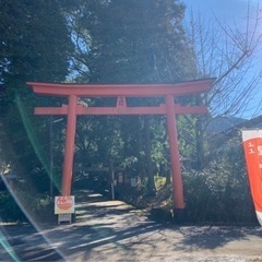 止上神社　6月25日