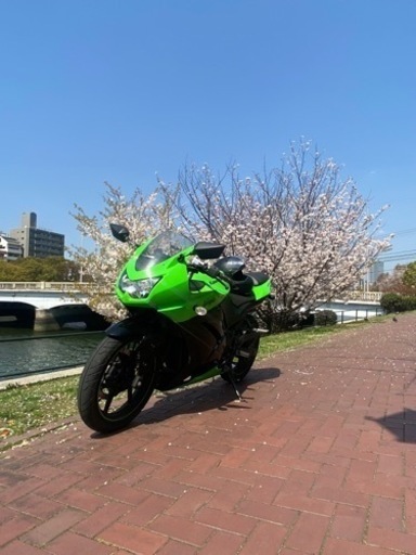 バイク ninja250r
