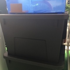 収納ケース(茶色)の画像