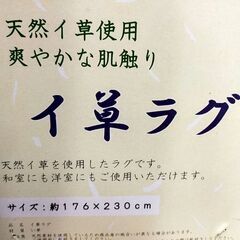【イ草ラグ　新品・未開封】の画像